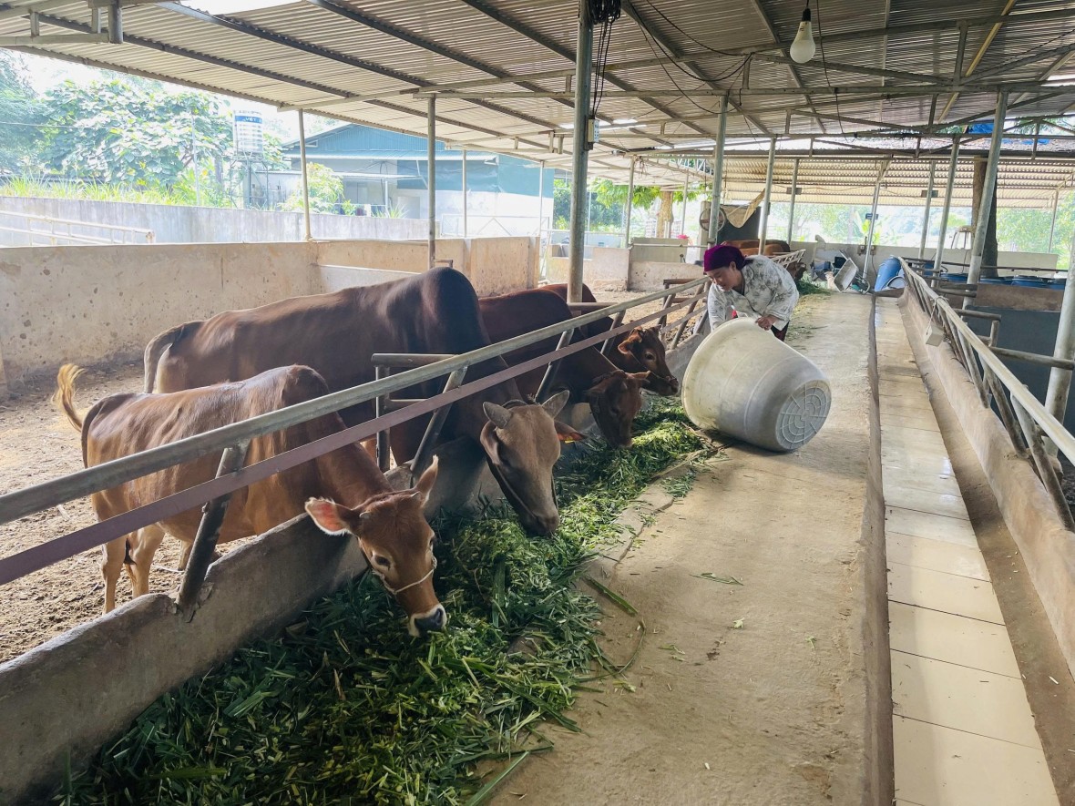 Thuận Hòa vùng đất giàu tiềm năng đánh thức du lịch Thuận Hòa vùng đất giàu tiềm năng đánh thức du lịch