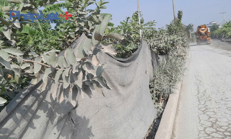 Bát Tràng, Hà Nội: Bến bãi, trạm trộn bê tông xả khói bụi bức tử người dân thành phố Bát Tràng, Hà Nội: Bến bãi, trạm trộn bê tông xả khói bụi bức tử người dân thành phố