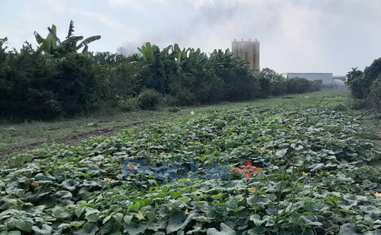 Bát Tràng, Hà Nội: Bến bãi, trạm trộn bê tông xả khói bụi bức tử người dân thành phố Bát Tràng, Hà Nội: Bến bãi, trạm trộn bê tông xả khói bụi bức tử người dân thành phố