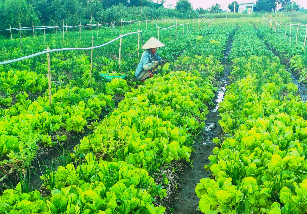 Trợ giúp pháp lý ở Cà Mau: Pháp luật trở thành điểm tựa vững chắc cho đối tượng chính sách và nhóm yếu thế Trợ giúp pháp lý ở Cà Mau: Pháp luật trở thành điểm tựa vững chắc cho đối tượng chính sách và nhóm yếu thế