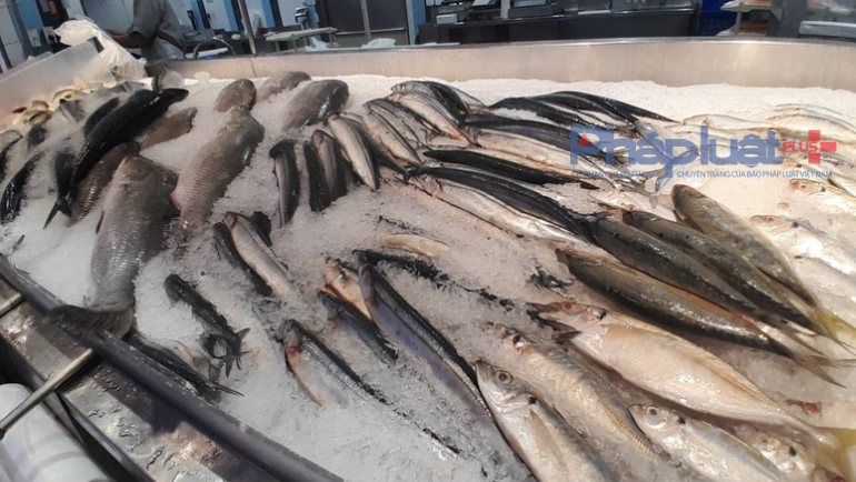 Thị trường chính phục hồi mạnh, xuất khẩu thủy sản tăng tốc cuối năm