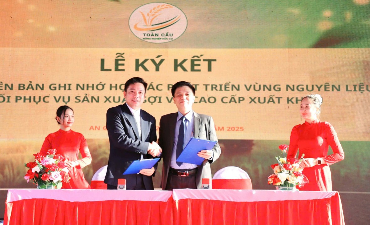 Toàn Cầu Group bứt phá với chiến lược nông nghiệp xanh và mục tiêu 100.000 ha lúa chất lượng cao