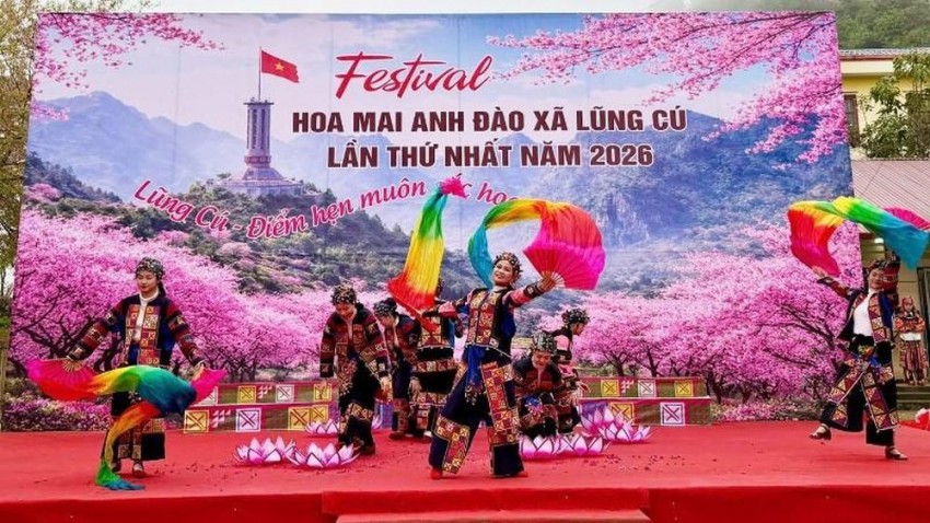 Khai mạc Festival Hoa mai anh đào xã Lũng Cú năm 2026 Khai mạc Festival Hoa mai anh đào xã Lũng Cú năm 2026