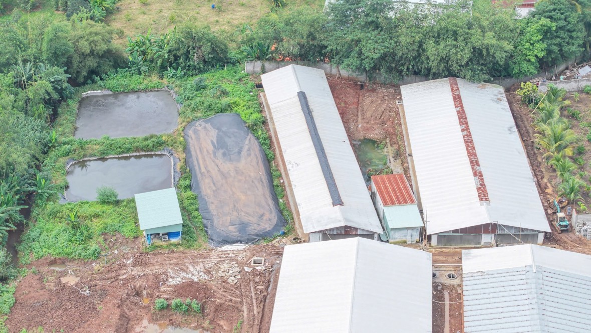 Trại heo bốc mùi phân thối nồng nặc ở Đồng Nai: Người dân mong chính quyền xử lý dứt điểm