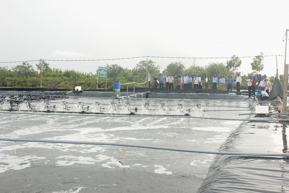 Cà Mau: Trụ đỡ tăng trưởng năm 2025, hướng tới phát triển hiện đại, bền vững