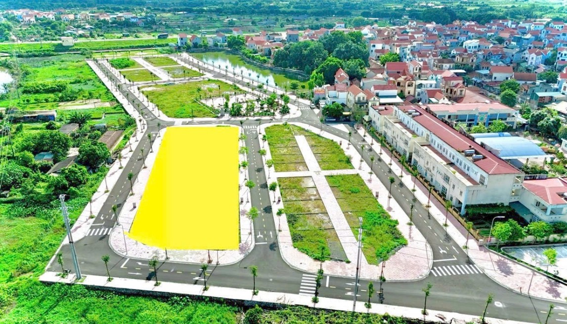 Bỏ cọc đấu giá đất sẽ bị “cấm cửa” tới 5 năm Bỏ cọc đấu giá đất sẽ bị “cấm cửa” tới 5 năm