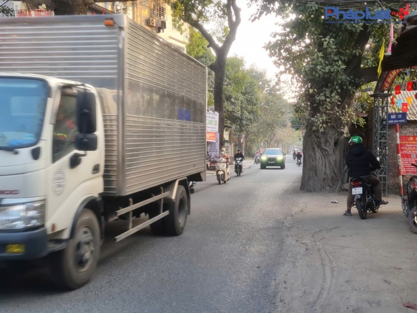 Đốn hạ hàng xà cừ nhiều năm tuổi để thi công Dự án mở rộng đường 70