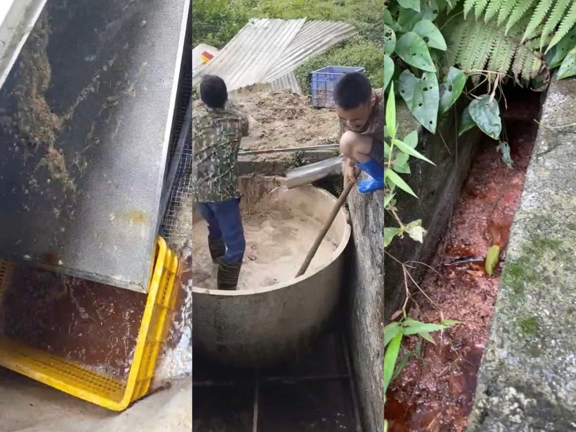 Ông Hoàng Anh Tuấn (phường Phúc Thuận – tỉnh Thái Nguyên) phản ánh, cơ sở chế biến chân gà ngang nhiên xây dựng trên đất lâm nghiệp, không chỉ vậy, trong thời gian hoạt động, cơ sở này xả thải gây mùi hôi thối.