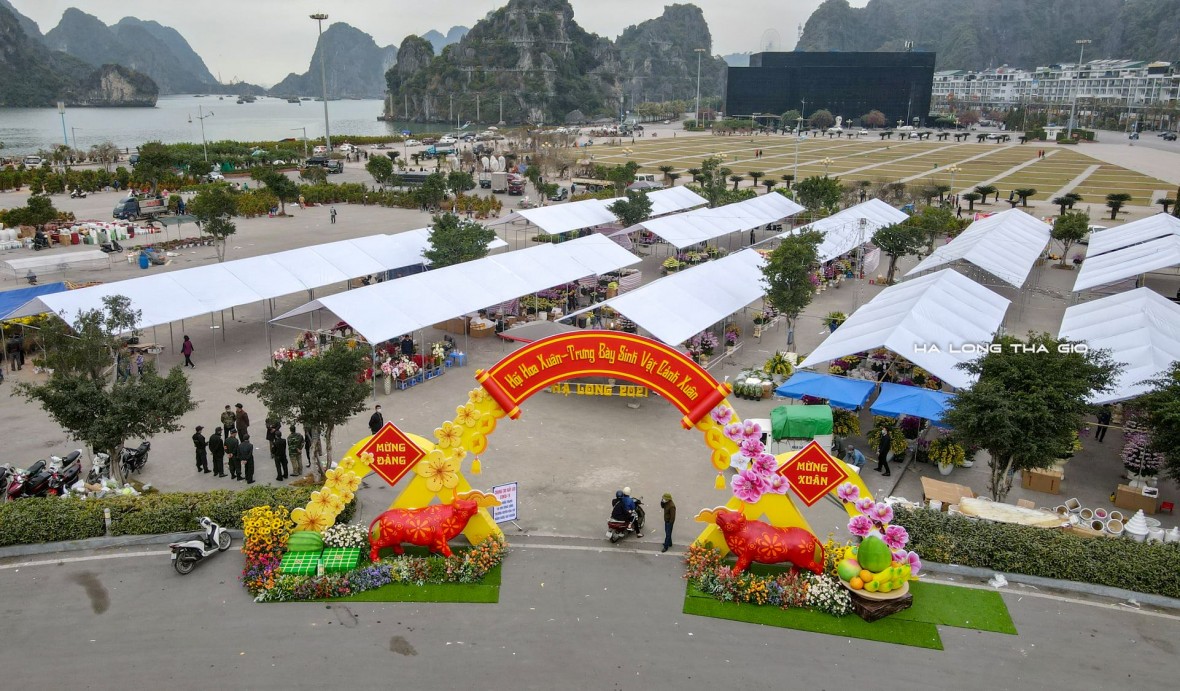 Quảng Ninh rộn ràng chuỗi sự kiện văn hóa, du lịch dịp Tết Bính Ngọ 2026