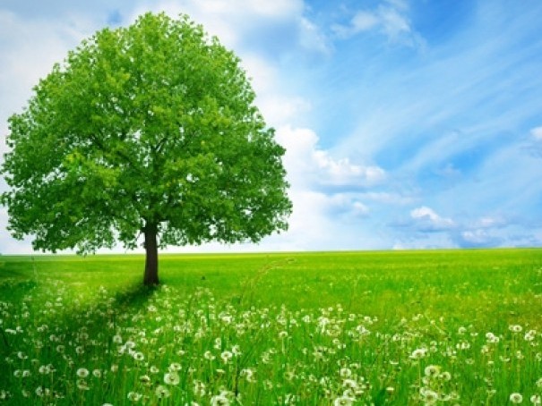 Rồi đây mình cũng già và những điều còn lại...