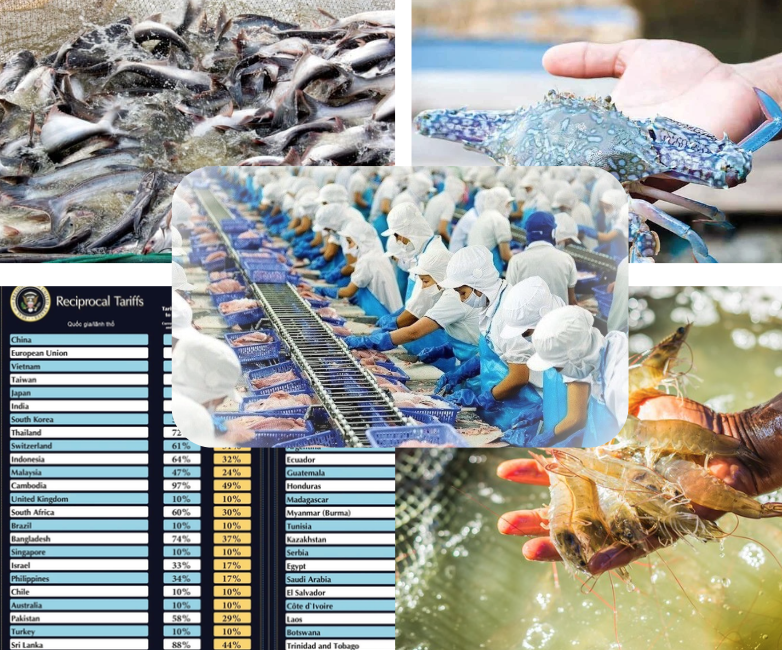 10 điểm nhấn nổi bật của ngành thủy sản Việt Nam năm 2025