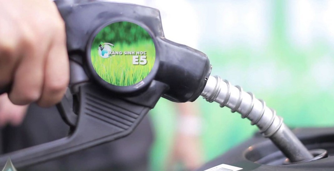 Từ 1/6/2026, chính thức sử dụng xăng sinh học Từ 1/6/2026, chính thức sử dụng xăng sinh học