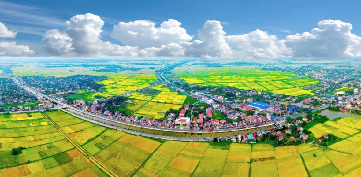 tăng trưởng quan trọng của cả nước