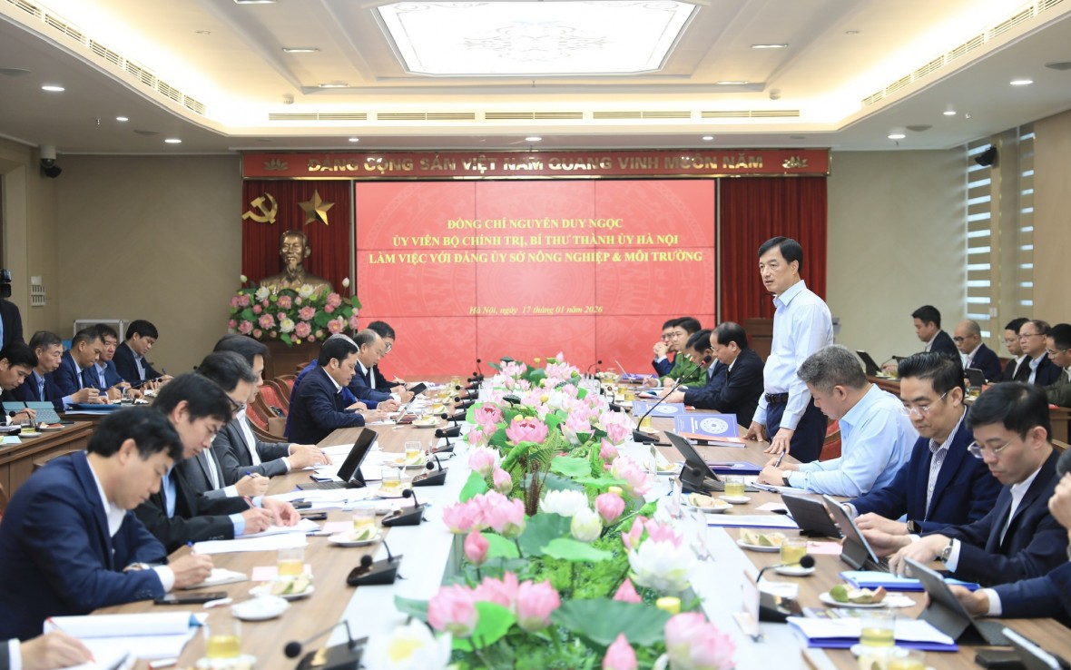 Có giải pháp căn cơ, tổng thể giải quyết dứt điểm các điểm nghẽn về môi trường