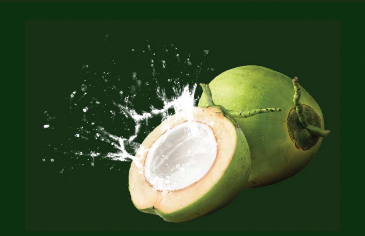 Nâng tầm vị thế ngành Dừa: Không thể chậm trễ bảo hộ thương hiệu Nâng tầm vị thế ngành Dừa: Không thể chậm trễ bảo hộ thương hiệu