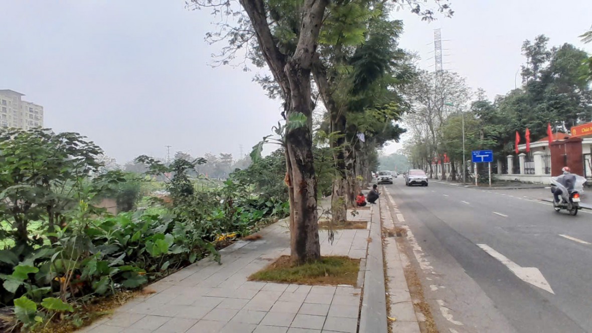 Nhếch nhác dự án gần 2 thập kỷ chưa triển khai bên cạnh trụ sở UBND phường Hoàng Mai Nhếch nhác dự án gần 2 thập kỷ chưa triển khai bên cạnh trụ sở UBND phường Hoàng Mai