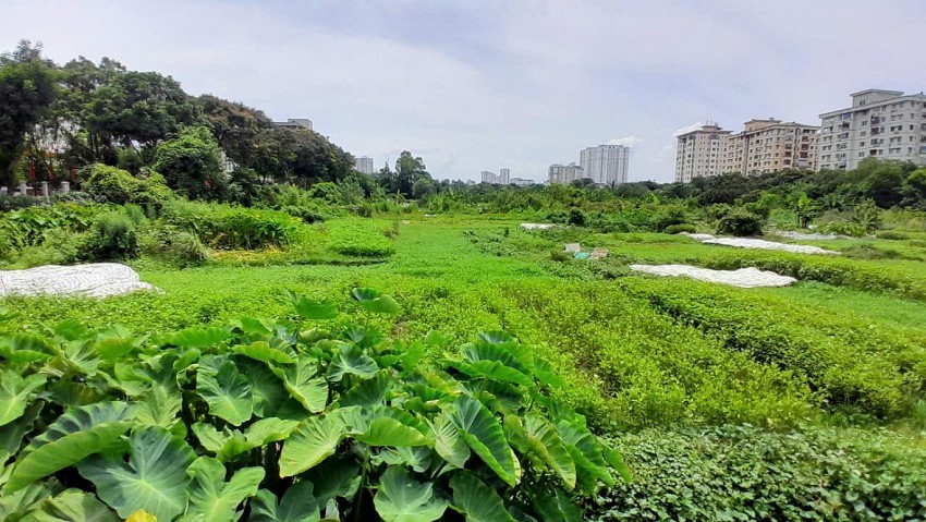 Nhếch nhác dự án gần 2 thập kỷ chưa triển khai bên cạnh trụ sở UBND phường Hoàng Mai Nhếch nhác dự án gần 2 thập kỷ chưa triển khai bên cạnh trụ sở UBND phường Hoàng Mai