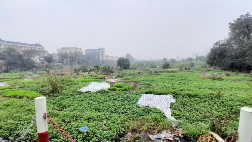 Nhếch nhác dự án gần 2 thập kỷ chưa triển khai bên cạnh trụ sở UBND phường Hoàng Mai Nhếch nhác dự án gần 2 thập kỷ chưa triển khai bên cạnh trụ sở UBND phường Hoàng Mai