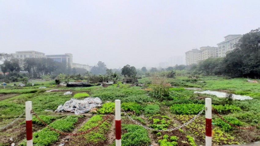 Nhếch nhác dự án gần 2 thập kỷ chưa triển khai bên cạnh trụ sở UBND phường Hoàng Mai Nhếch nhác dự án gần 2 thập kỷ chưa triển khai bên cạnh trụ sở UBND phường Hoàng Mai