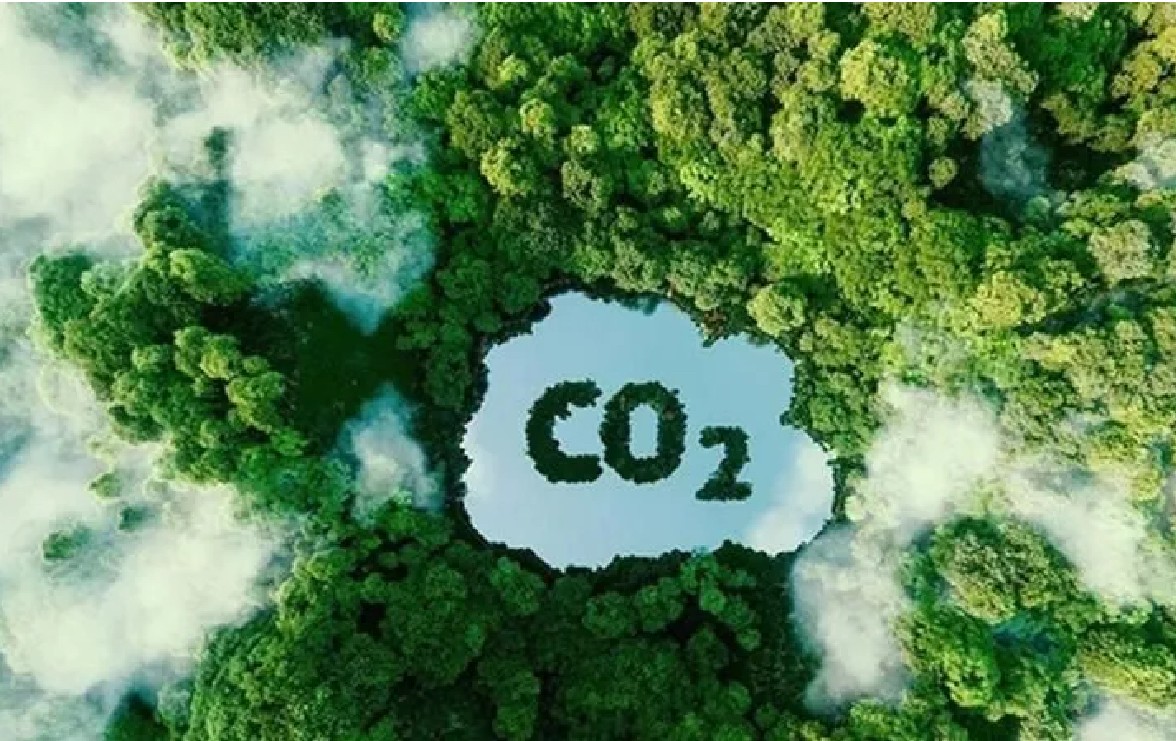 Công ty chứng khoán cần điều kiện nào để tham gia sàn giao dịch các-bon?