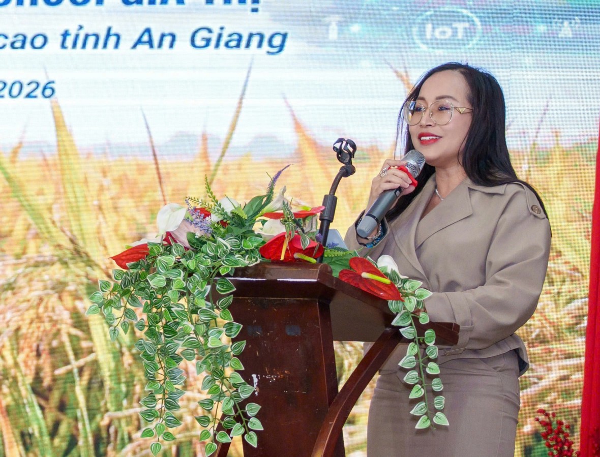 Gắn kết sản xuất lúa chất lượng cao với chuỗi liên kết tiêu thụ bền vững