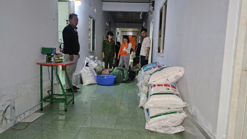 Triệt phá đường dây sản xuất bột ngọt, hạt nêm giả quy mô lớn tại Gia Lai Triệt phá đường dây sản xuất bột ngọt, hạt nêm giả quy mô lớn tại Gia Lai