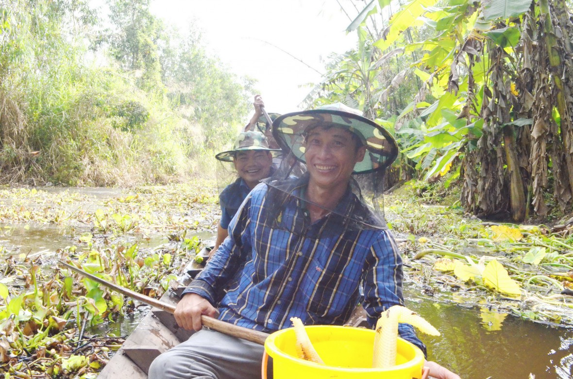 Rừng U Minh Hạ - hương mật, vị đất địa đầu cực Nam Tổ quốc