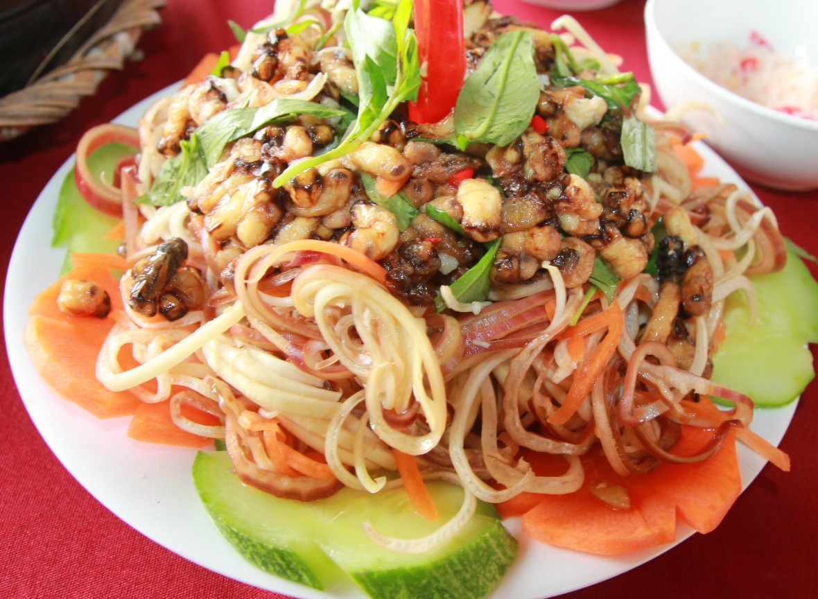 Rừng U Minh Hạ - hương mật, vị đất địa đầu cực Nam Tổ quốc