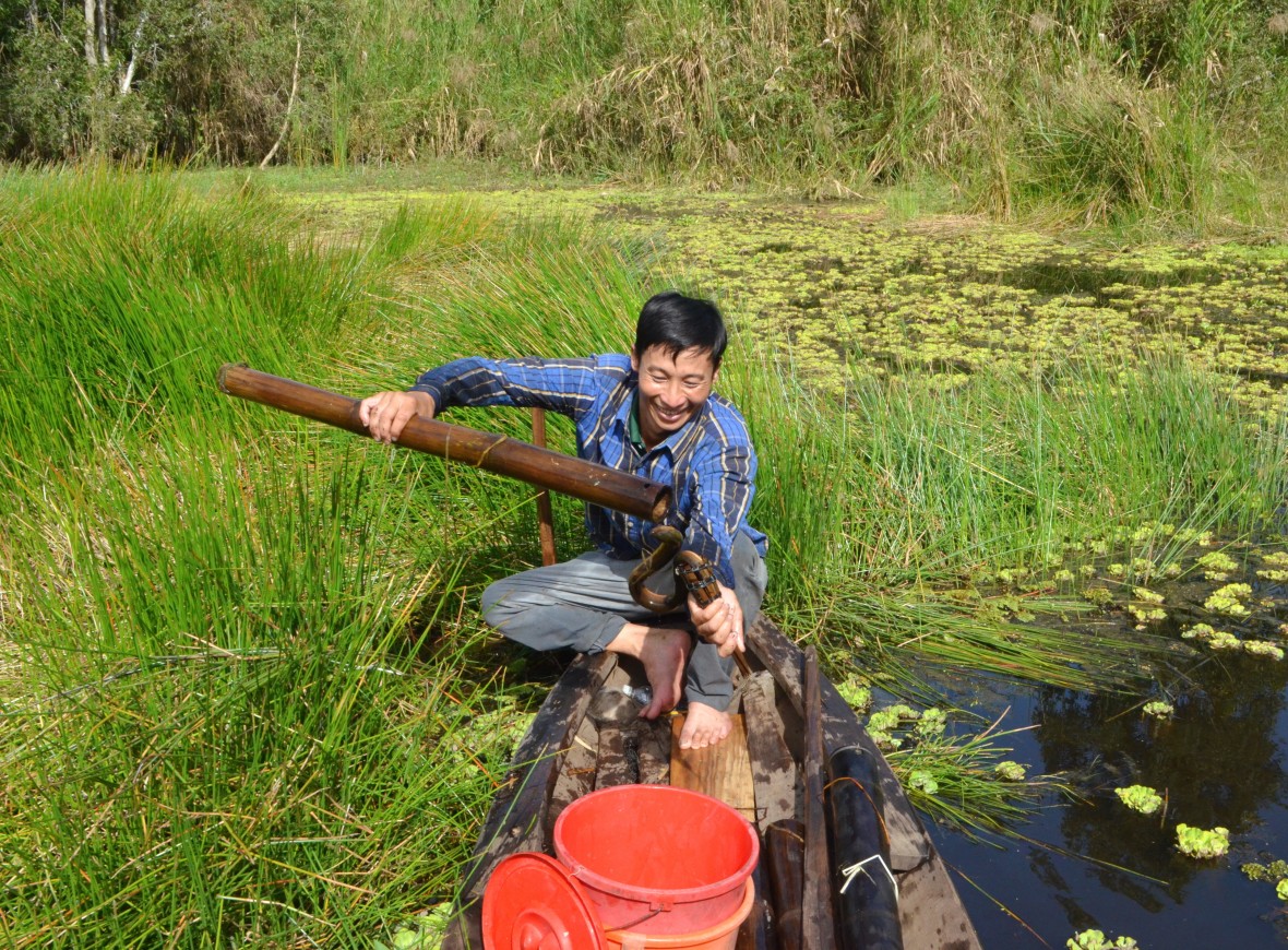 Rừng U Minh Hạ - hương mật, vị đất địa đầu cực Nam Tổ quốc