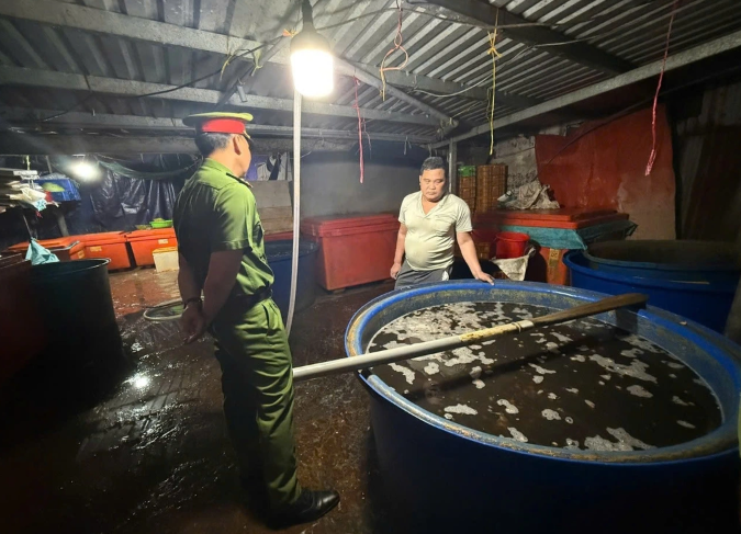 Ốc bươu ngâm hóa chất (Ảnh: Công an cung cấp).