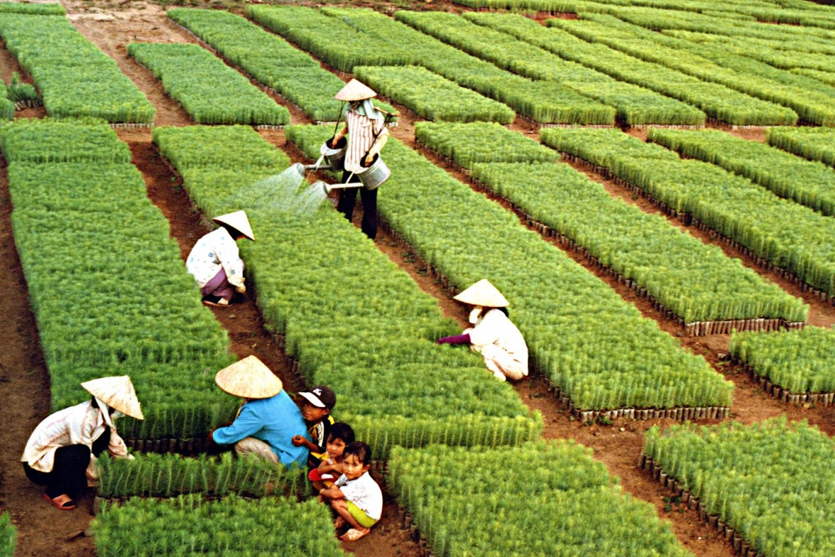 Ngành Nông nghiệp và Môi trường đặt mục tiêu xuất khẩu gần 74 tỷ USD năm 2026 Ngành Nông nghiệp và Môi trường đặt mục tiêu xuất khẩu gần 74 tỷ USD năm 2026