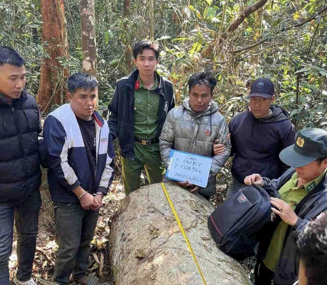 Phát hiện nhóm khai thác gỗ dổi trái phép tại khu vực thủy điện Đồng Nai 4