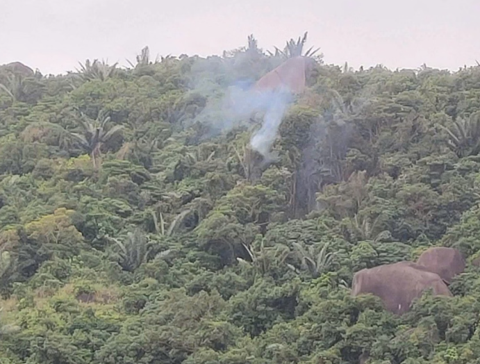 Vụ máy bay quân sự rơi ở Đắk Lắk: Khen thưởng nam sinh lớp 11 kịp thời cứu phi công bị thương