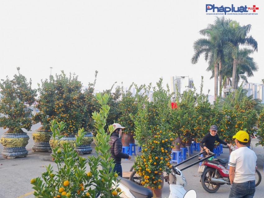 Công điện của Thủ tướng về thực hiện các nhiệm vụ để người dân đón Tết