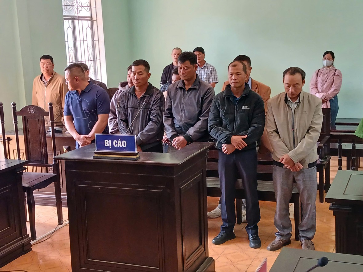 Gia Lai: 8 bị cáo lĩnh án trong vụ đưa, nhận hối lộ và tham ô tài sản rừng