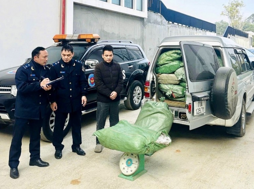 Bắt giữ gần 800 kg thuốc lá nhập lậu tại khu vực biên giới Cao Bằng