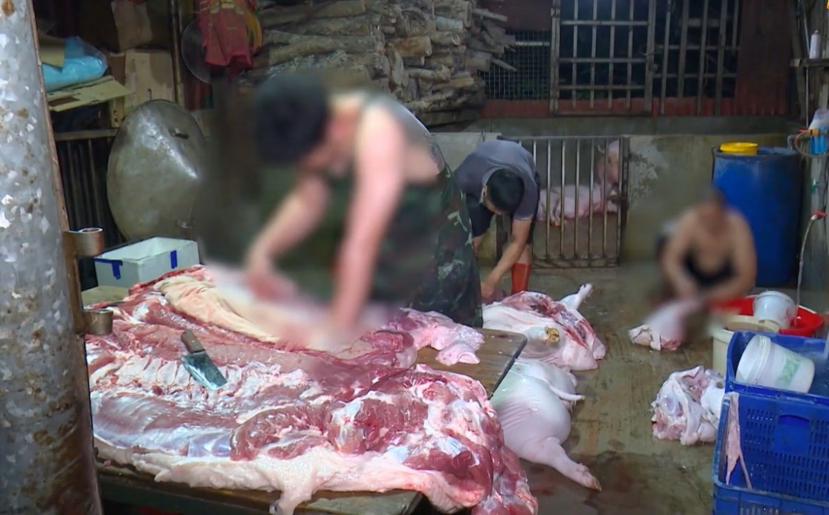 Tây Ninh siết chặt kiểm dịch, kiểm soát giết mổ bảo đảm an toàn thực phẩm dịp cận Tết Nguyên đán