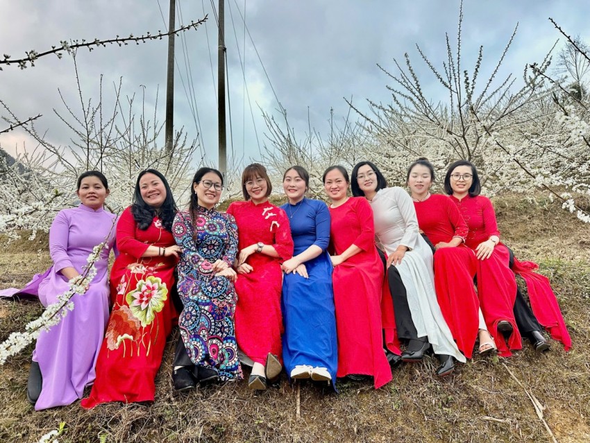 [Chùm ảnh]: Hoa mận bung nở, khoe sắc trắng nơi cực Bắc tổ quốc