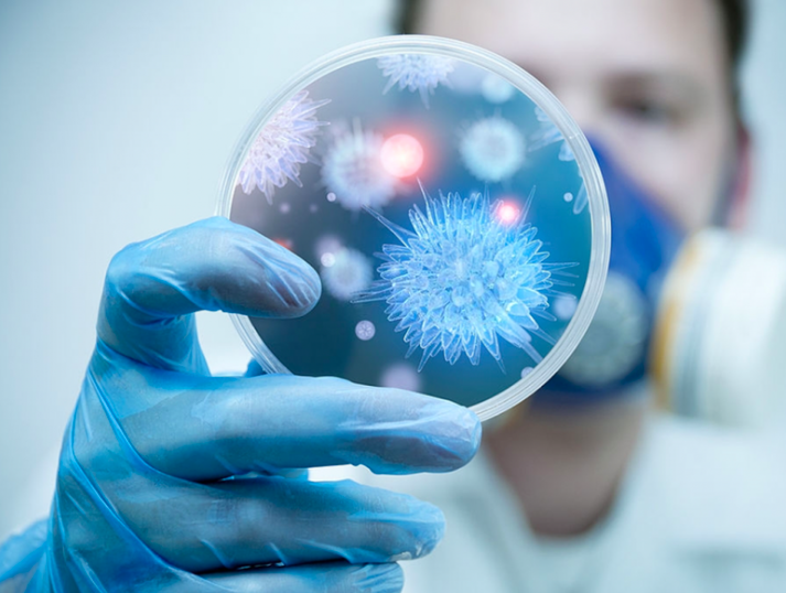 Bộ Y tế khuyến cáo người dân hạn chế đến khu vực có dịch bệnh do virus Nipah.