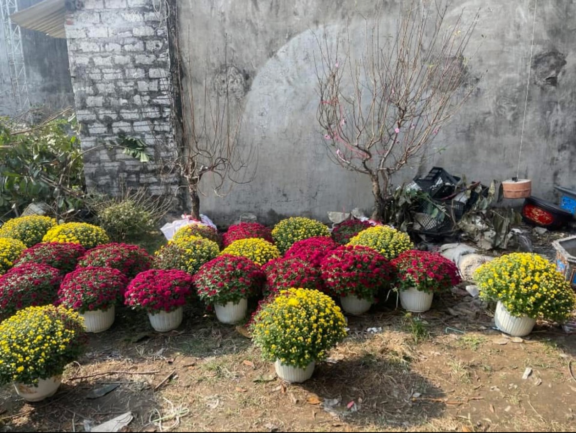 Tết về trong tiếng sóng