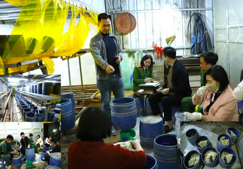 Khởi tố, bắt tạm giam chủ cơ sở sản xuất hàng nghìn kg giá đỗ ngâm chất cấm