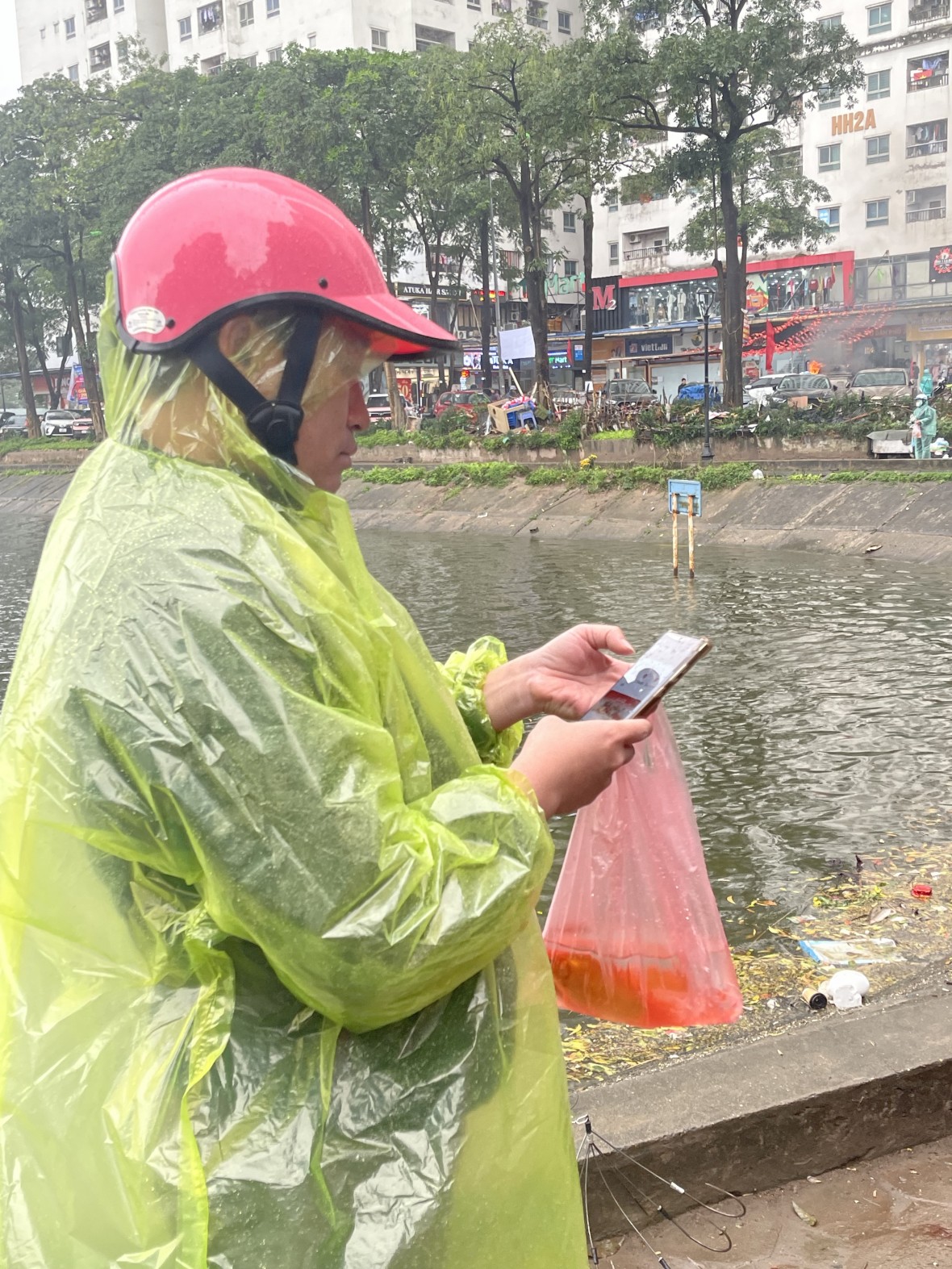 Người Hà Nội mặc áo mưa thả cá chép sớm trong ngày mưa lạnh