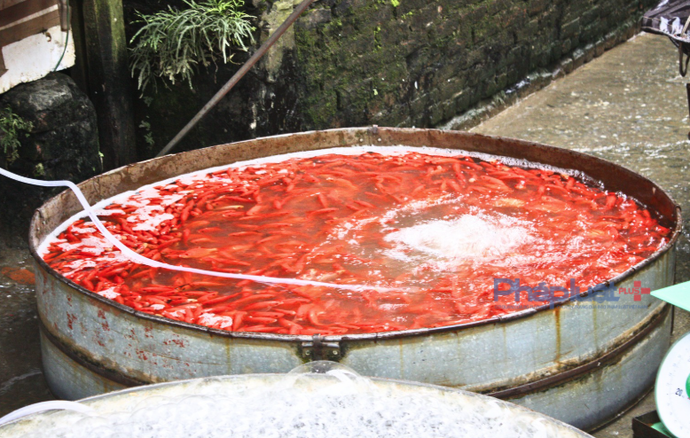 Chợ cá lớn nhất Hà Nội 