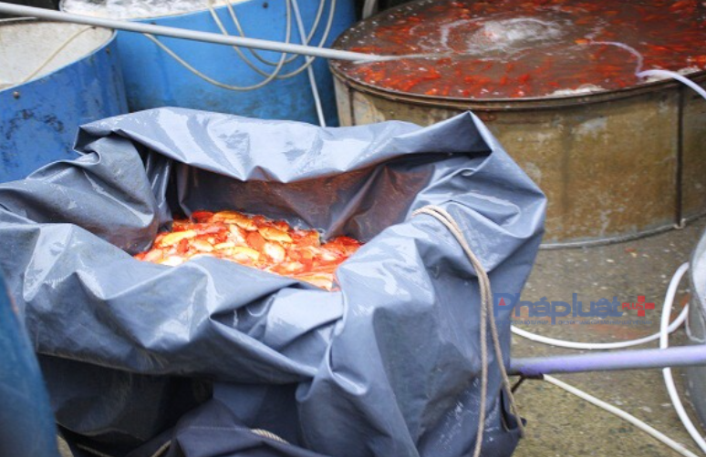 Chợ cá lớn nhất Hà Nội 