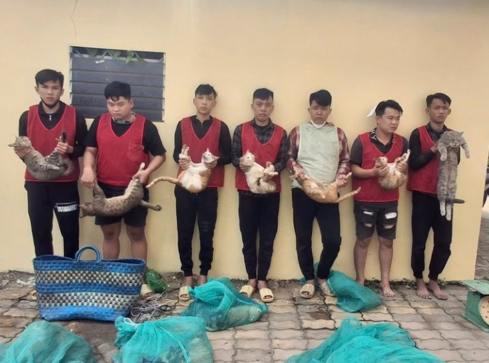 Các nghi can trộm cắp mèo cùng tang vật. Ảnh: Công an TP.HCM.