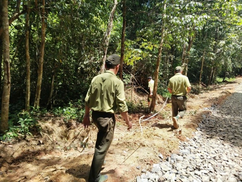 Các cán bộ Kiểm lâm ngày đêm bảo vệ rừng.