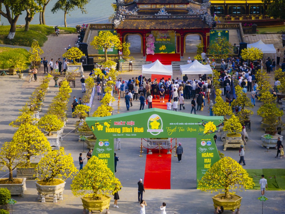 Ngày hội Hoàng mai Huế lần thứ IV - Tôn vinh sắc mai vàng Cố đô