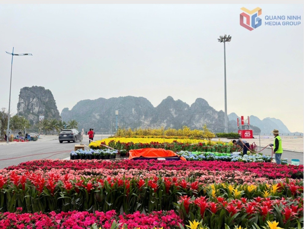 Đại lộ hoa – ánh sáng lần đầu ra mắt bên Vịnh Hạ Long