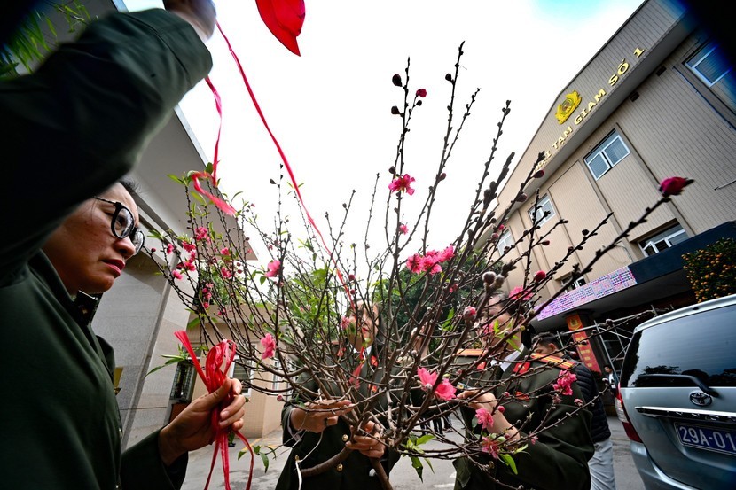 Các nữ cán Phòng Tham mưu CATP tất bật chuẩn bị những cành đào thật tươi. Với họ, việc mang không khí Tết vào trại giam không chỉ là nhiệm vụ mà còn là mệnh lệnh từ trái tim.