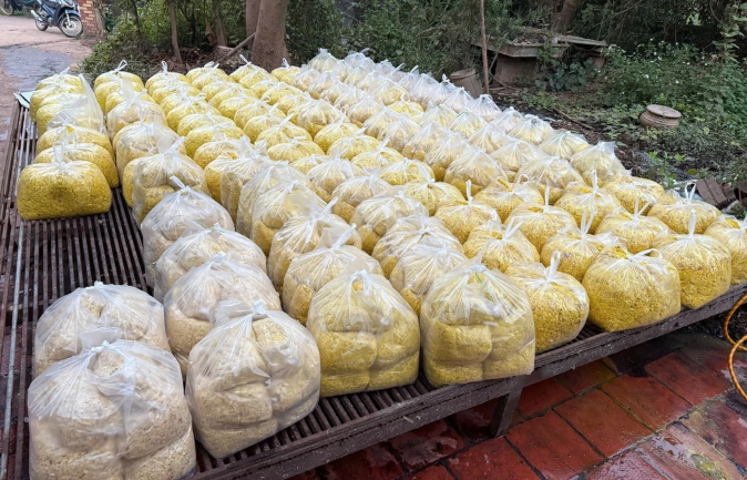 Số riềng bị thu giữ (Ảnh: Bộ Công an).